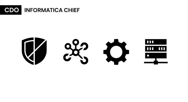 CDO Informatica Chief, Data Security Shield, Network Molecule Icons