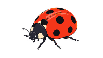 Red ladybug vector illustration isolated on white background © Mark