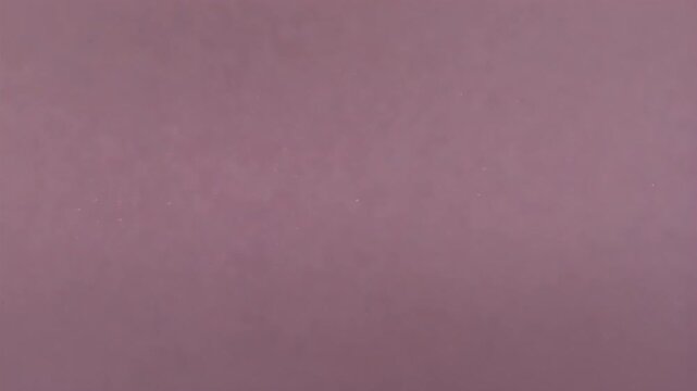 Shimmering Delicate Pink Force Field Deflecting Incoming Particles, Transparent Background, Cinematic 1080p Full HD Motion Graphic