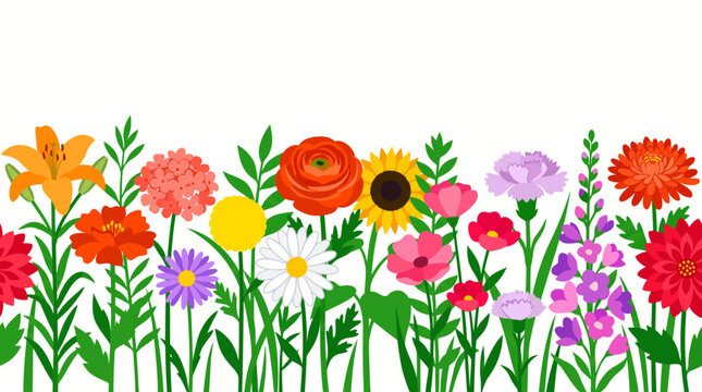Colorful spring wildflower border illustration with assorted blooming garden flowers on white background