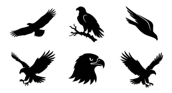 70 Eagle Silhouettes Collection, Majestic Bird Icons, Predatory Raptor Graphics, Wildlife Vector Set, Freedom Symbol Art 100