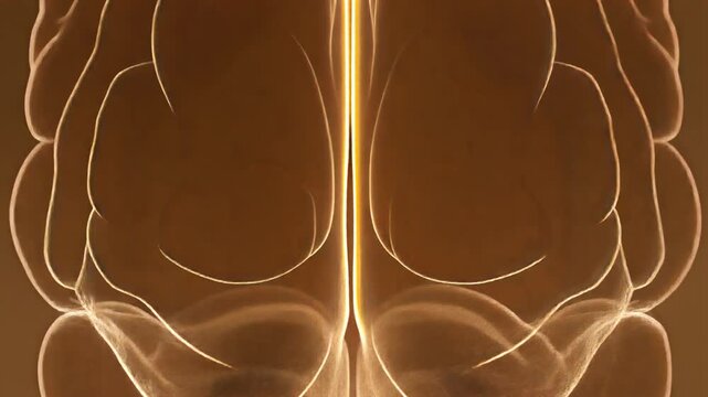 Stylized Brain Structure Pulsing with Warm Golden Light on Transparent Background, Conceptual Science and AI Medical Motion Graphic