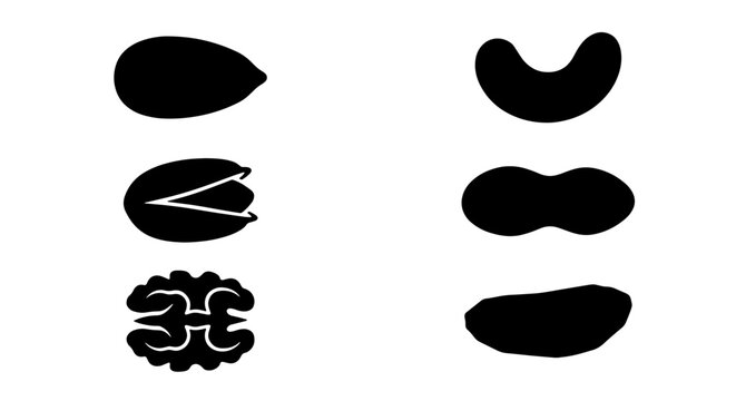 70 Black Silhouette Icons of Various Nuts, Including Almond, Pistachio, Walnut, Cashew, Peanut, and Pecan, Vector Graphics for Healthy Eating and Food Concepts 100