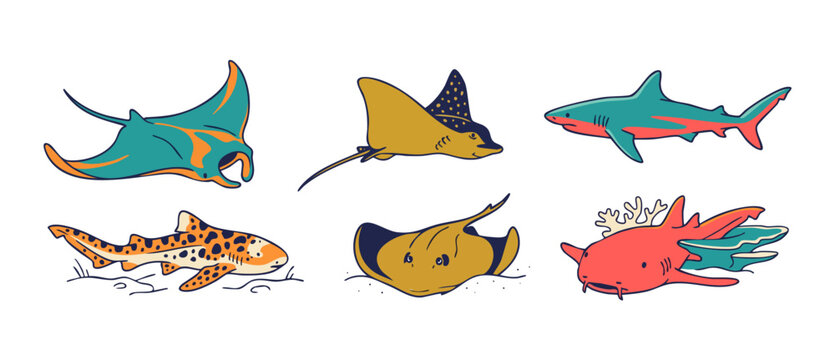 Shark ray vector illustration set of cartoon marine animals, stingray, manta ray, leopard shark, and nurse shark isolated on white background for cute sealife graphic design, educational poster.