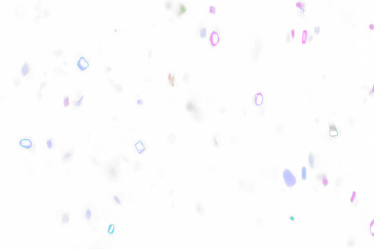 Confetti Falling Against Transparent Background Celebration Party Abstract Bokeh Lights