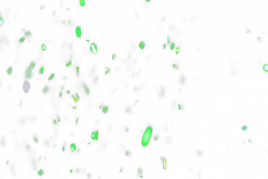 Abstract Green Confetti Falling Against Transparent Background for Celebration