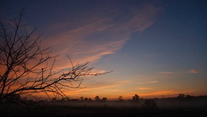 Fototapeta premium Silhouette of Bare Tree Against Colorful Sunset Sky - Tranquil Landscape, Soft Cloud Patterns