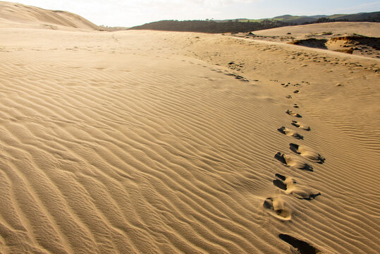Giant Sand Dunes in Cape Reinga - New Zealand