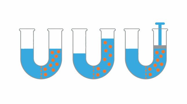 Scientific Osmosis Diagram with U-shaped tubes, blue liquid, and orange solute particles ideal for educational textbooks and chemistry learning materials.