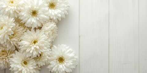 Obraz premium White Daisies Arranged on a Light Wooden Surface with Soft Light