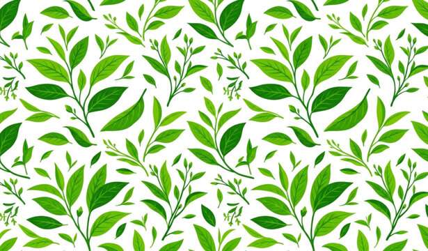 Fresh green tea leaves seamless vector pattern for botanical packaging and textile design