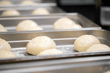 Fototapeta premium Raw burger buns with sesame seeds on metal baking trays, prepared for baking in a commercial kitchen.