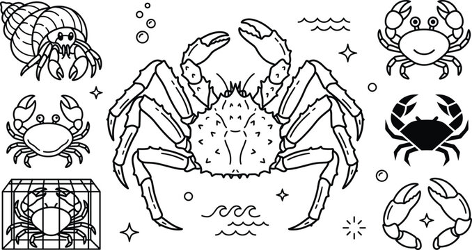Crab vector line art coloring page set with king crab hermit crab trap claw and marine animal icon elements