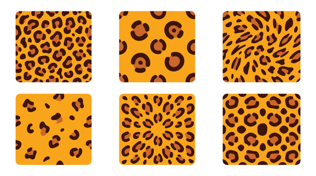 collection of six square leopard print seamless patterns, various styles including pixelated and radial, animal skin texture background, flat design elements