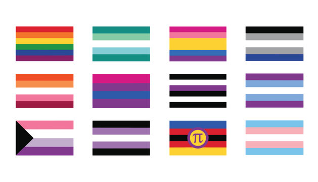 Collection of twelve diverse LGBTQ pride flags including lesbian, gay, bisexual, transgender, pansexual, and other gender identities.