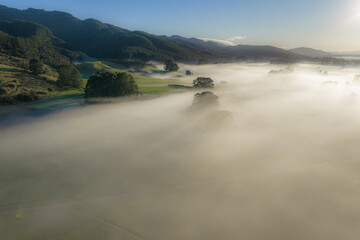 Fototapeta premium Misty morning over rolling hills and farmland in the Carterton, Wellington region of New Zealand. The low-lying fog creates a serene and atmospheric landscape.
