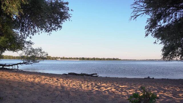 Cinematic Summer Landscape View on the Banks of a Dutch River, Golden Sandy Beach with Driftwood and Trees at Sunset.