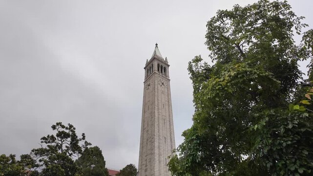 Wide angle shot of the Sather Tower at UC Berkeley rises above vibrant green trees against an overcast sky, showcasing striking architecture and tranquil campus atmosphere.