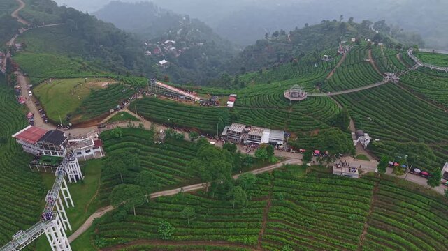 Aerial view of tea garden recreation park with observation deck, Karanganyar, Indonesia. Scenic nature tourism and travel destination footage.