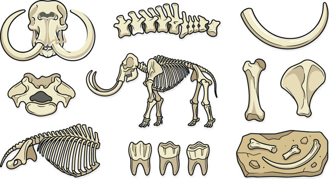 Prehistoric Mammoth Skeleton Vector Icon Set with Fossilized Skull Tusks Teeth Vertebrae and Ribs Elements for Paleontology Museum Education and Science History Designs