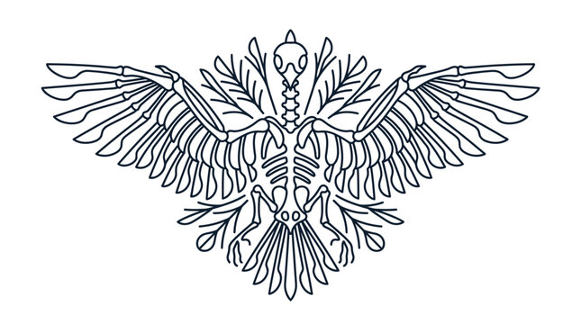 Abstract monoline continuous line art of a bird skeleton with spread wings and botanical leaf elements, minimalist avian anatomy illustration isolated on a white background.