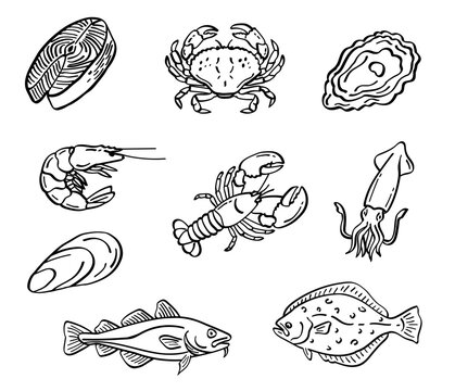 Seafood hand drawn doodle set, black line sketch vector illustration of fish, crab, lobster, shellfish. Seafood line art clipart collection, marine food doodles isolated for menu, restaurant design