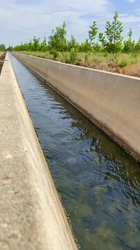 Canal de agua de riego en verano para cultivos de pistachos