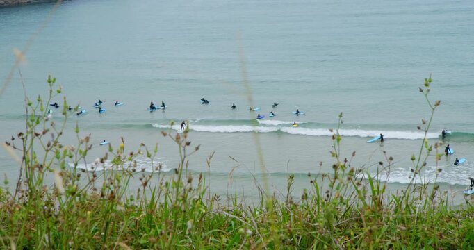 Surfing Lesson at the Beach: A group of surfers, seen from a grassy dune, are scattered across the ocean catching small waves during a sunny day at the beach.
