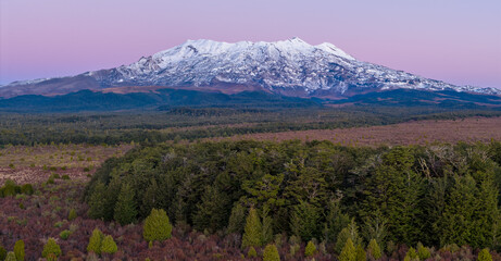 Fototapeta premium Mount Ruapehu, New Zealand. A majestic snow-capped volcano looms over a lush forest landscape at dawn, showcasing the natural beauty of Tongariro National Park.