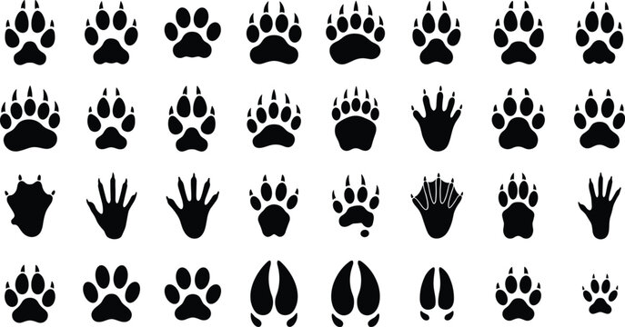 Animal Footprints, Paw Prints, and Wildlife Track Silhouette Vector Set