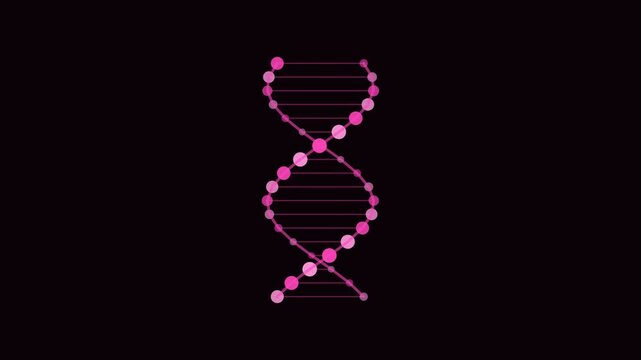 Pink DNA Double Helix Rotate Medical Animation Loop