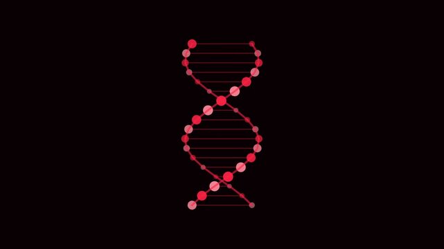 Red DNA Double Helix Rotate Medical Animation Loop