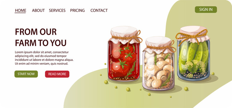 Pickled vegetables jars landing page template homemade food organic farming cooking preservation website clean modern vector illustration design