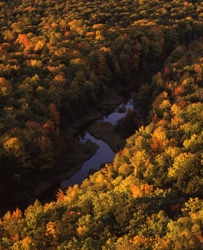 Fall colors along the Carp River, Upper Peninsula, Michigan