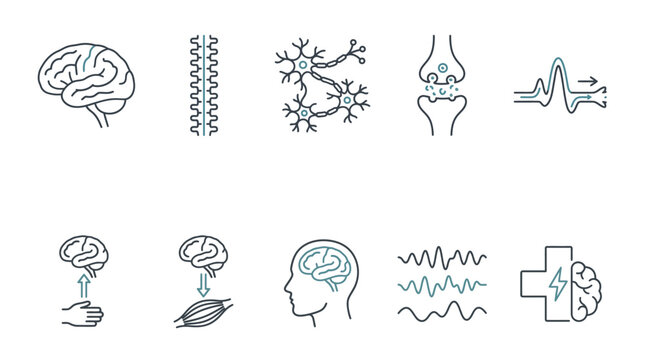 Neurology and nervous system thin line vector icons collection with brain neurons and medical signs
