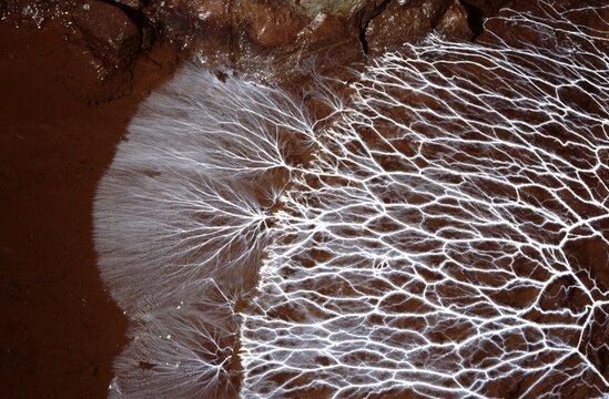 Organic white network on red Stone Background