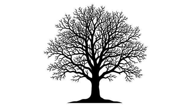 CAD tree lines Tree Black tree silhouette Bare tree, tree silhouette, black tree, vector tree, leafless tree, isolated tree Vector