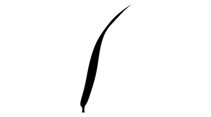 CAD tree lines Tree Black tree silhouette Black feather, single feather, isolated feather, vector feather Vector © MstShopna