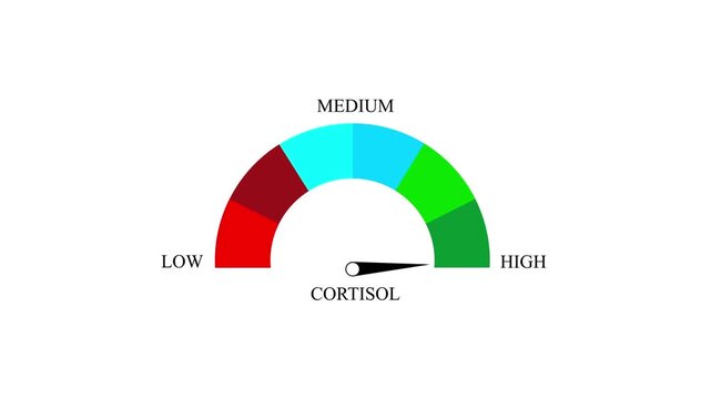 A semi-circular gauge displaying the cortisol level with a needle pointing towards the medium range, 4k .video 