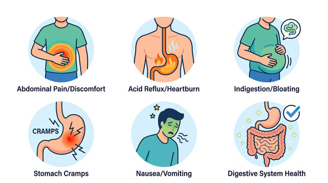 Digestive System Health: Common Stomach Issues Explained with Icons