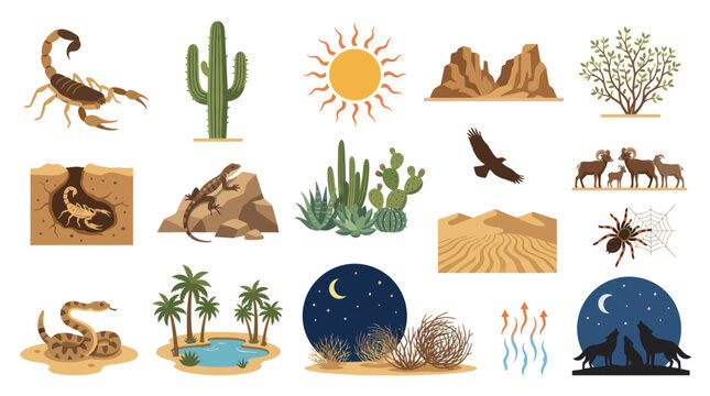 Desert Animals and Plants Flat Vector Icons Set