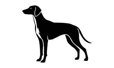 Fototapeta premium Minimalist profile of a graceful hunting dog in a sleek alert pose with bold black shapes and clean negative space on a solid white background canine concept