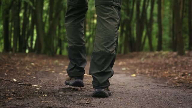 Cinematic tracking shot following man hiking on forest trail beneath the canopy of deciduous woodland. Smooth low angle camera movement, trekking, outdoor adventure and nature exploration