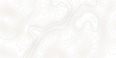  Topography and geography map grid.Abstract Contour Topographic Line Pattern in Black and White, Elevation map. Topographic background.Vector banner. © MDSOHEL