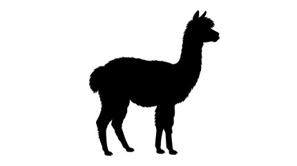 Fototapeta premium Llama Silhouette Against A White Background Minimalist Animal Shape