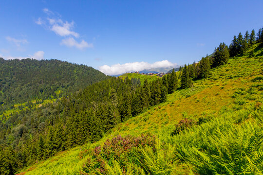 Plateaus of Ka&ccedil;kar Mountains National Park