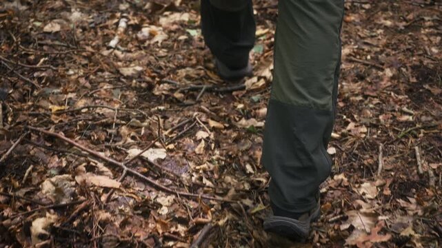 Slow motion gimbal follow shot of man walking across fallen leaves in shaded deciduous forest. Cinematic tracking footage passing tree trunks, capturing hiking, woodland exploration