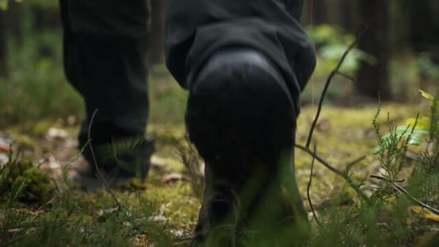 Close-up low angle slow motion follow shot male hiker walking across forest floor in pine woodland. Smooth gimbal camera movement, trekking outdoor activity, adventure, travel and nature exploration