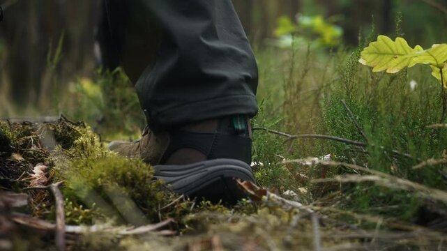 Low angle cinematic shot of man's hiking boot stepping on moss-covered forest floor next to tree trunk. Smooth camera movement highlighting hiking, woodland and outdoor recreation in summer