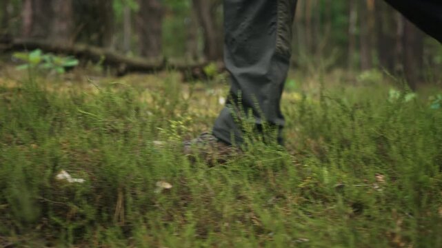 Side view close-up of male person hiking across forest floor with creeping juniper, moss and natural ground vegetation. Cinematic slow motion follow shot capturing trekking and outdoor recreation